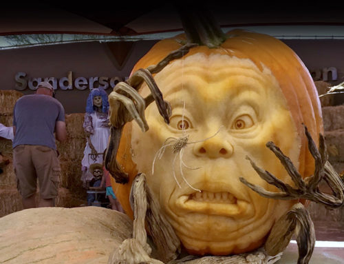 ENCHANTED PUMPKIN GARDEN RETURNS TO THE CAREFREE DESERT GARDENS