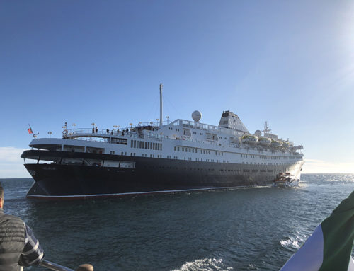 Rocky Point Sees Its First Cruise Ship Set Sail