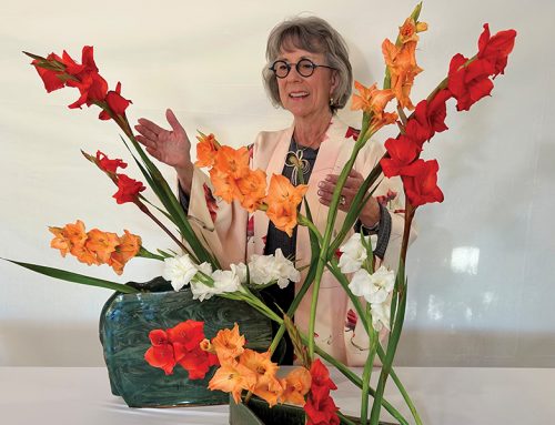Floral Inspiration Ikebana Show is March 11 & 12 in Paradise Valley
