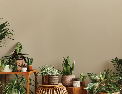 3 Tips for Integrating Nature into Your Interior Design
