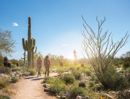 The Scottsdale North Saga: Uncover What Makes It Truly Great!