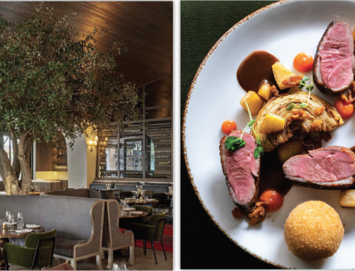 A Toast to Mediterranean Marvels at Arboleda in Scottsdale