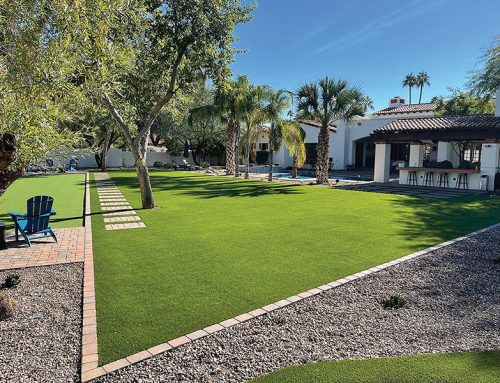 Turf Monsters: Won’t Trip You Up  on Landscaping