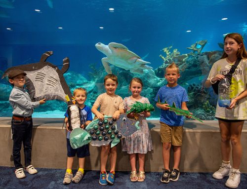 OdySea Aquarium Celebrates Young Artists in Conservation Art Challenge