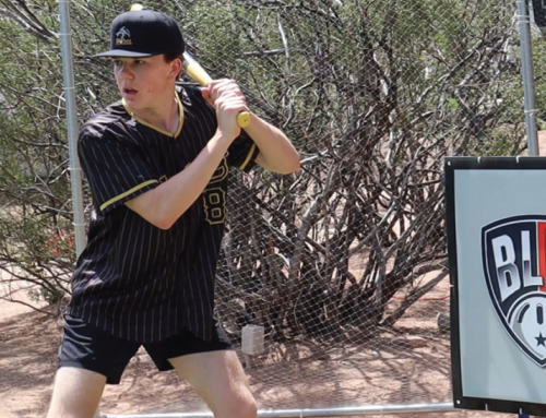 From Backyard to Ballpark Paradise Valley teen’s vision transforms into the Fourth Annual Western WIFFLE Ball Championship.