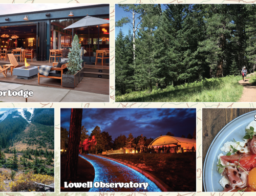 The Flagstaff Trails Passport: From Forest Treks to Boutique Retreats