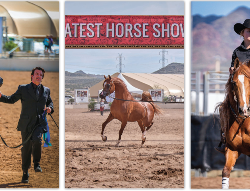 Arabian National Breeder Finals Returns to Scottsdale: Unique, complimentary event to showcase the world’s top Arabian horses.