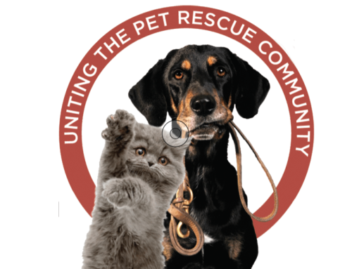 PACC911 is Uniting Forces to Save Arizona’s Animals