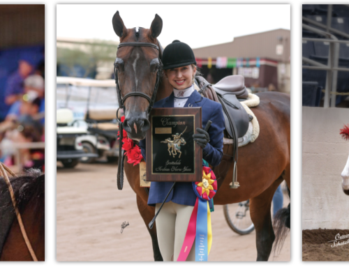 Scottsdale’s Historic Arabian Horse Show Returns for the 69th Year