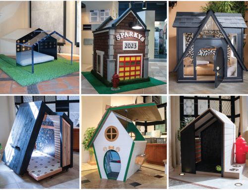 Posh Pup Palaces: 10th Annual Design for Dogs Event Aids Arizona’s Homeless Animals