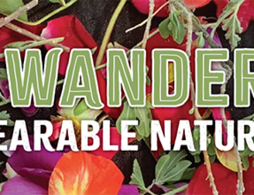 Wrap, Wander, Wow: Create a wearable nature bracelet.
